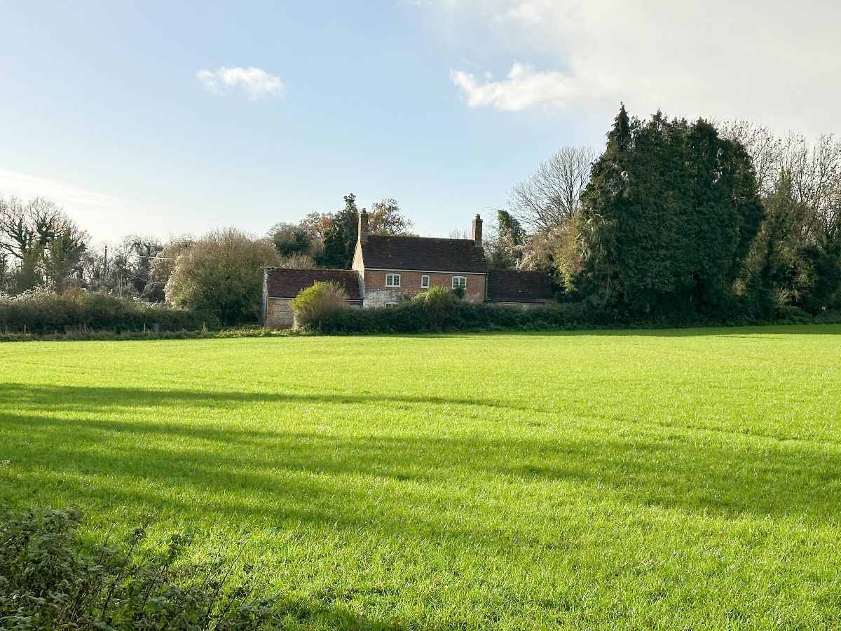 2 bed cottage to rent in Cutlers Cottage, Bowerchalke  - Property Image 34