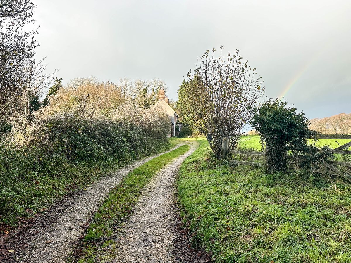 2 bed cottage to rent in Cutlers Cottage, Bowerchalke  - Property Image 24