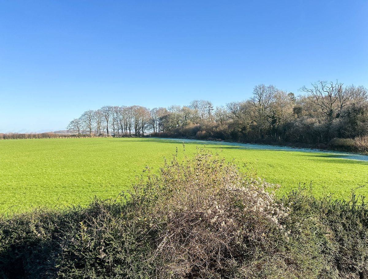 2 bed cottage to rent in Cutlers Cottage, Bowerchalke  - Property Image 3