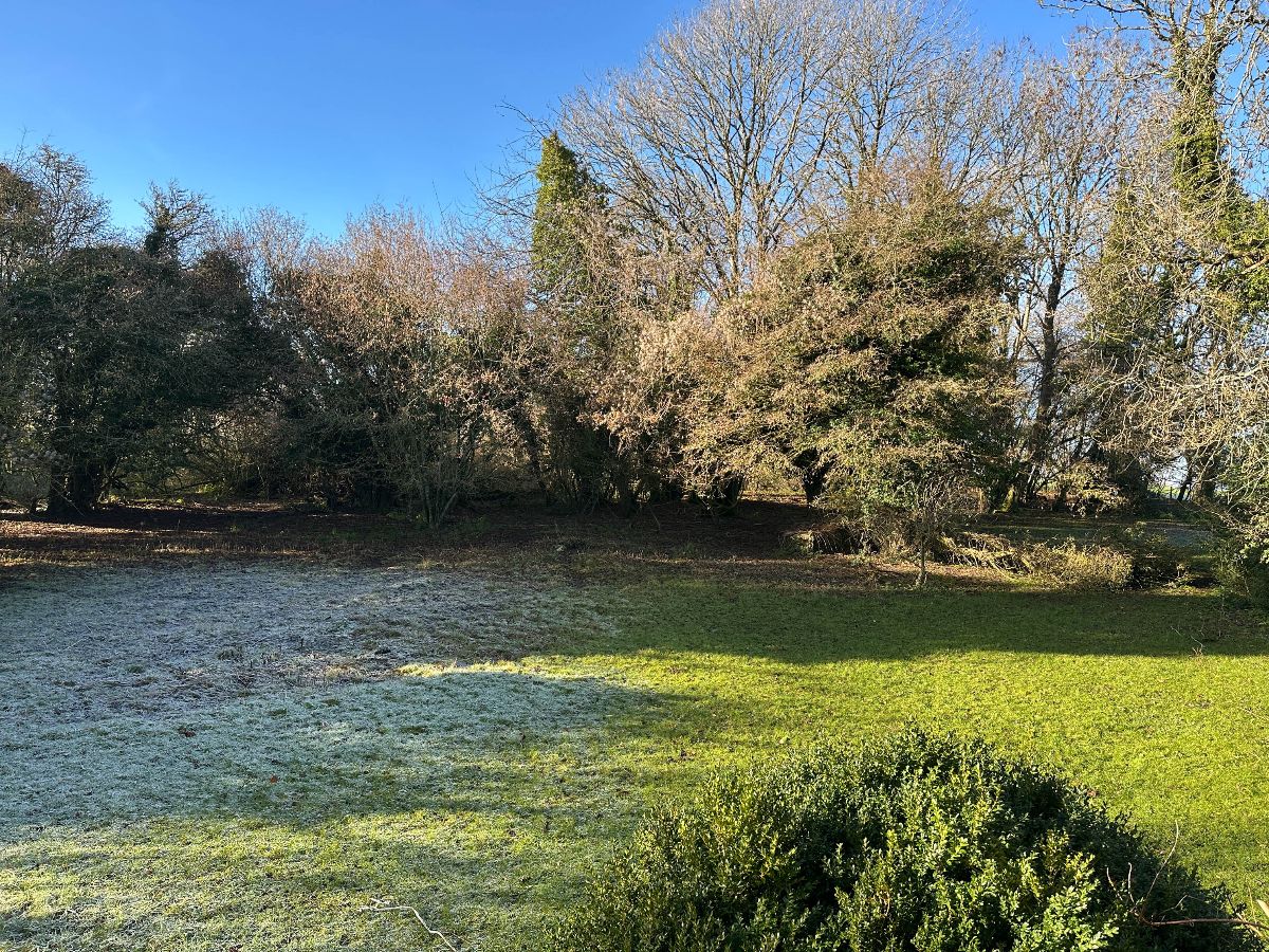 2 bed cottage to rent in Cutlers Cottage, Bowerchalke 25