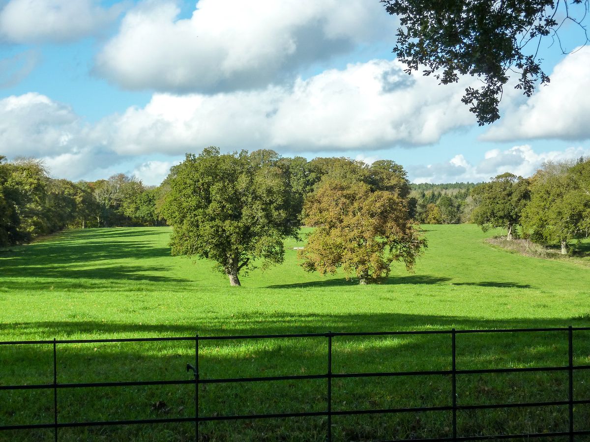 4 bed character property to rent in Clarendon Park, Salisbury 25
