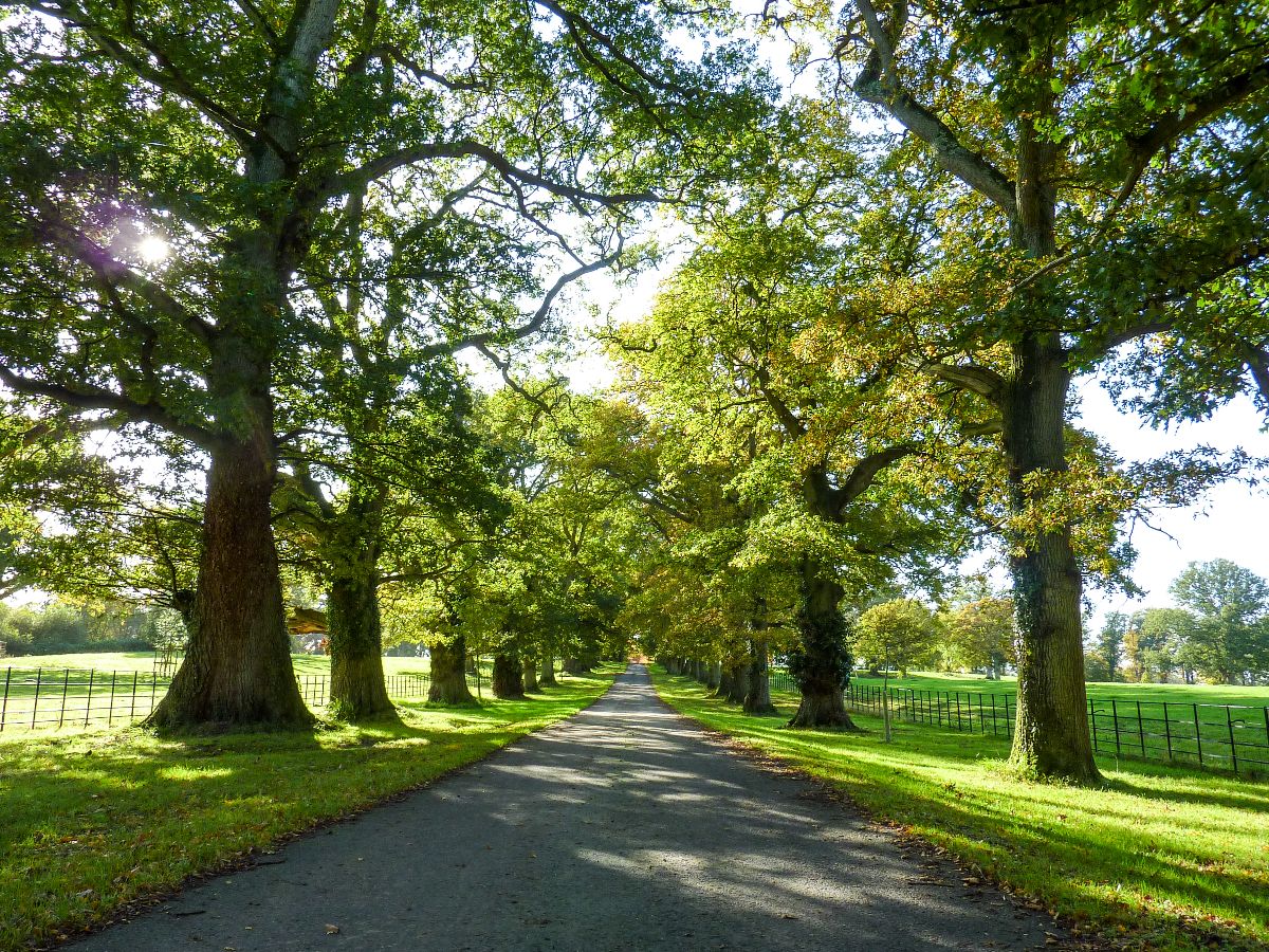 4 bed character property to rent in Clarendon Park, Salisbury 26