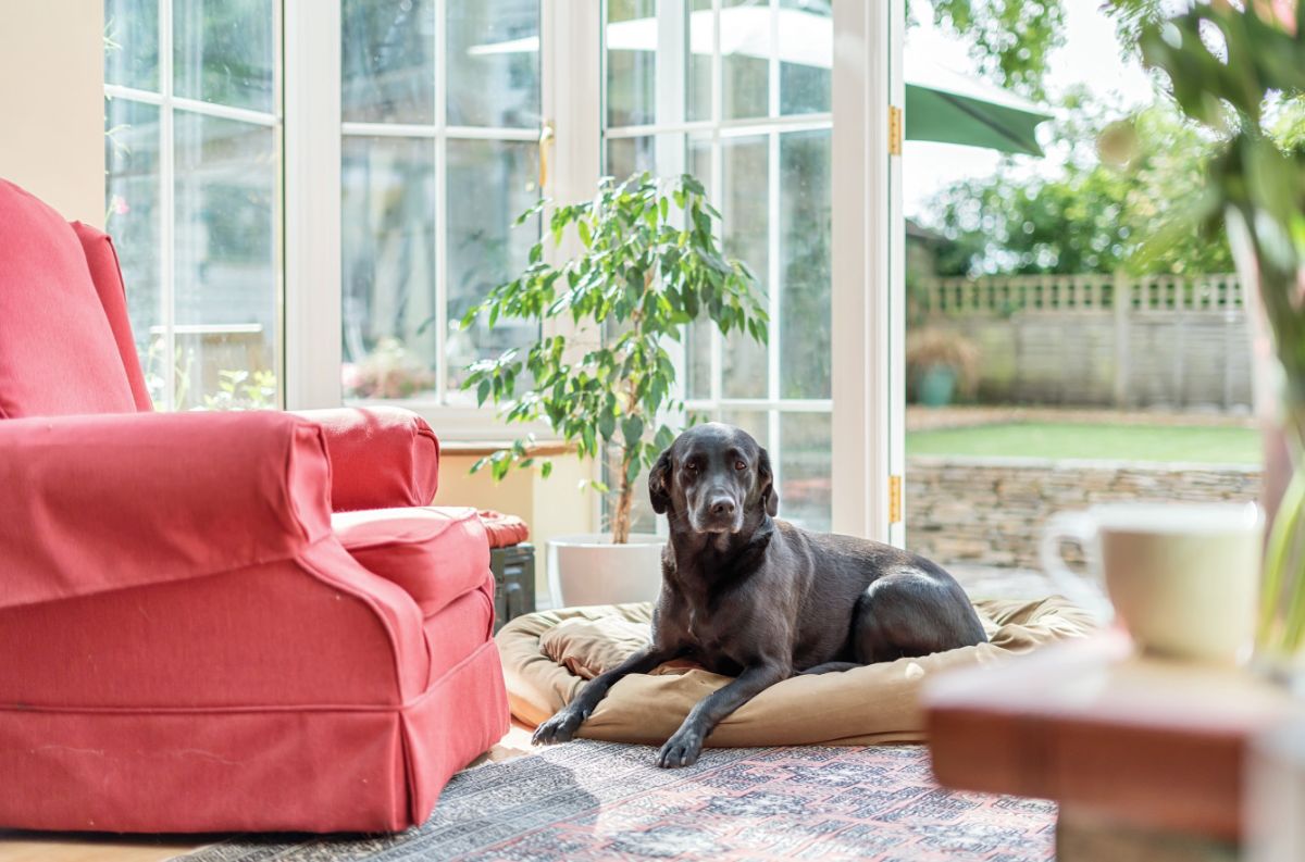 5 bed detached house for sale in Merrifield Road, Salisbury 10