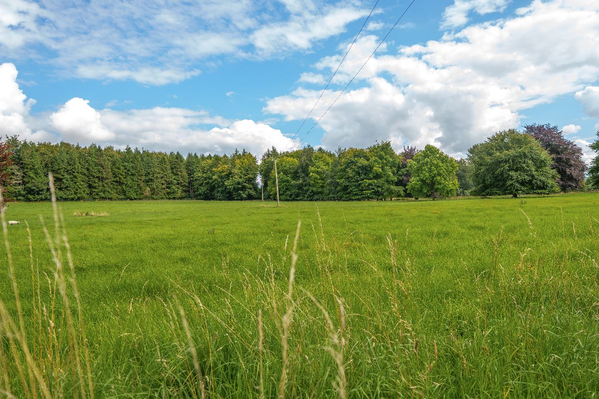 5 bed detached house for sale in Heytesbury, Warminster 27