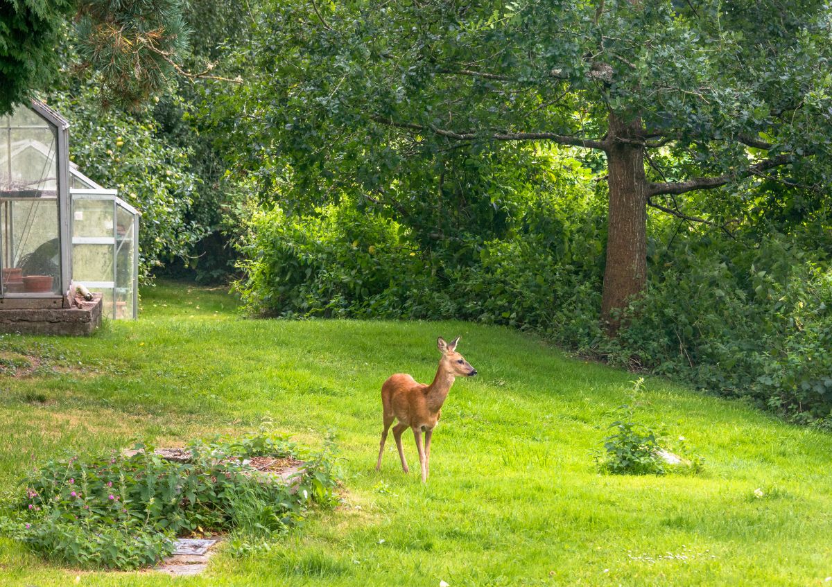 6 bed detached house for sale in Grange Lane, Warminster 1