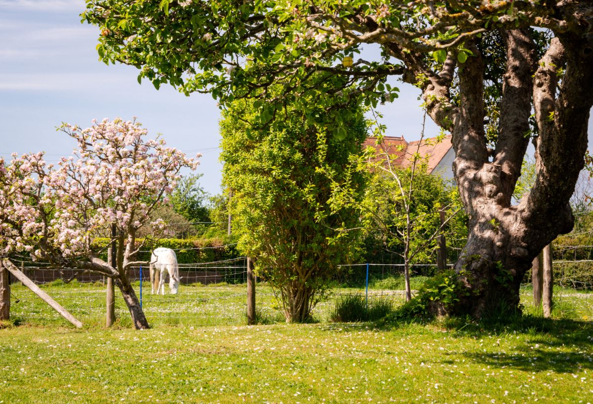 5 bed character property for sale in Great Wishford, Salisbury 18
