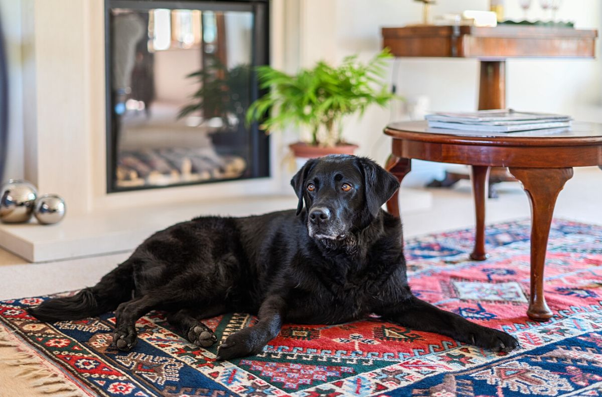 5 bed house for sale in Rock Lane, Warminster 1