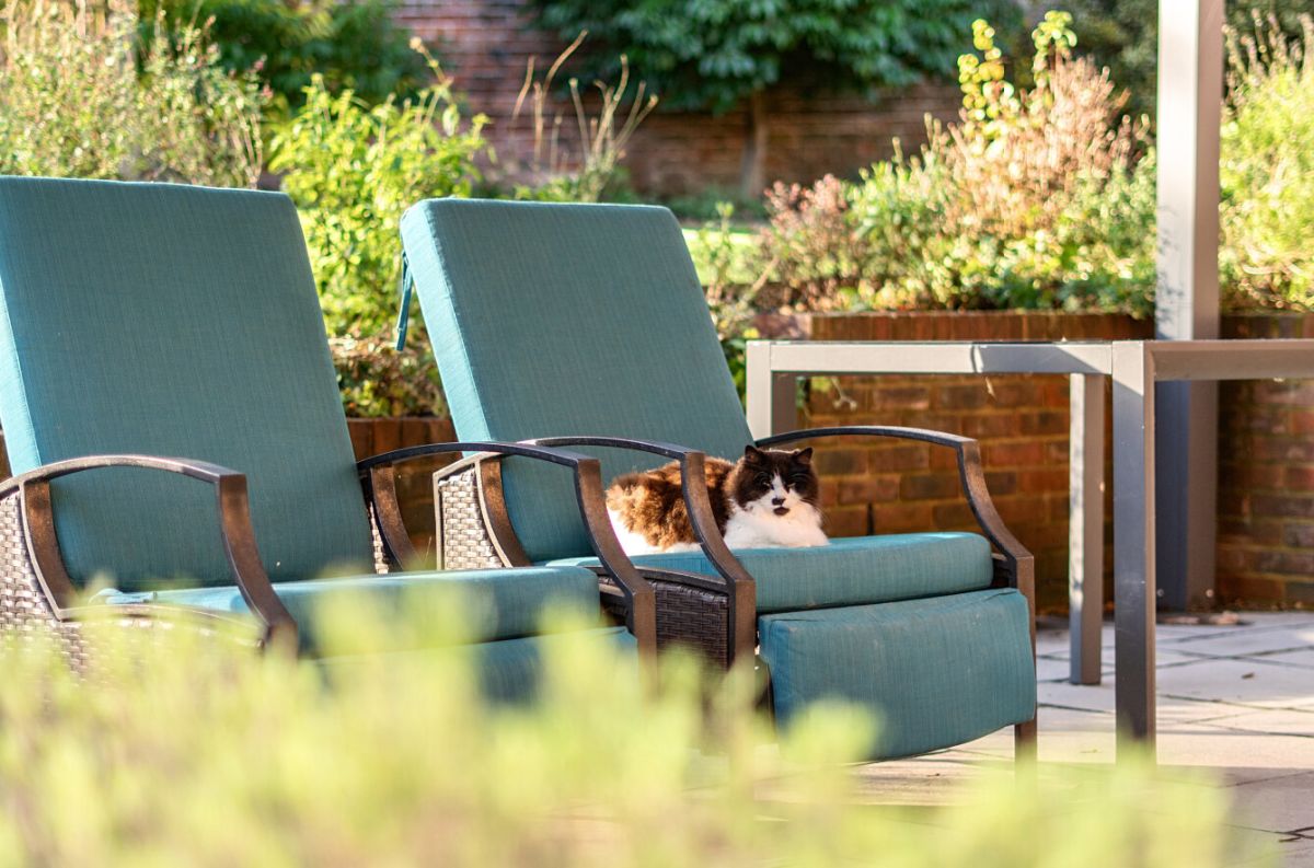 4 bed detached house for sale in The Walled Garden Heytesbury Park, Warminster  - Property Image 32