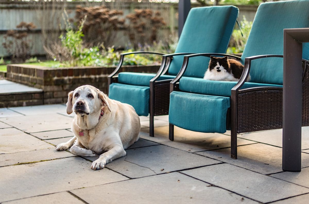 4 bed detached house for sale in The Walled Garden Heytesbury Park, Warminster 2