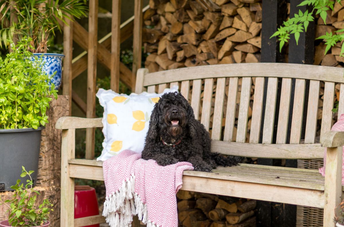 5 bed house for sale in Winterbourne Stoke, Salisbury  - Property Image 38