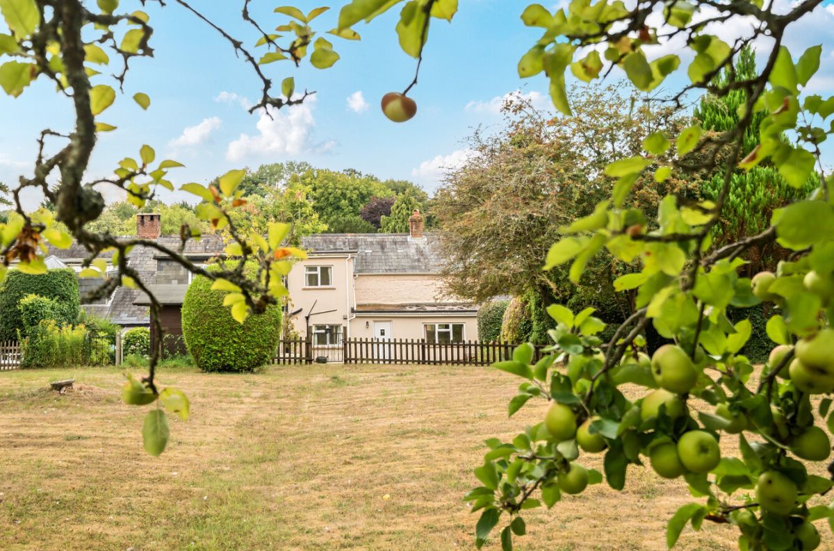 2 bed cottage for sale in Rockbourne, Fordingbridge  - Property Image 18