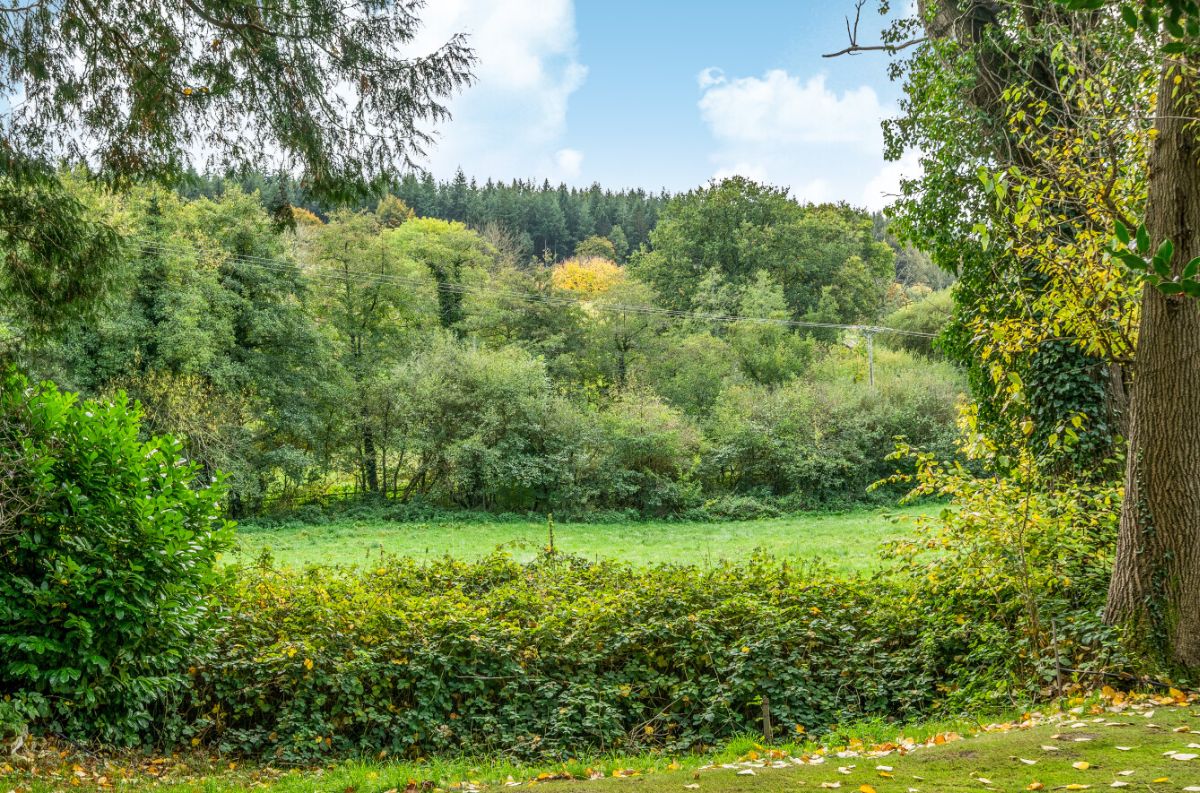 6 bed detached house for sale in Crockerton, Warminster  - Property Image 42