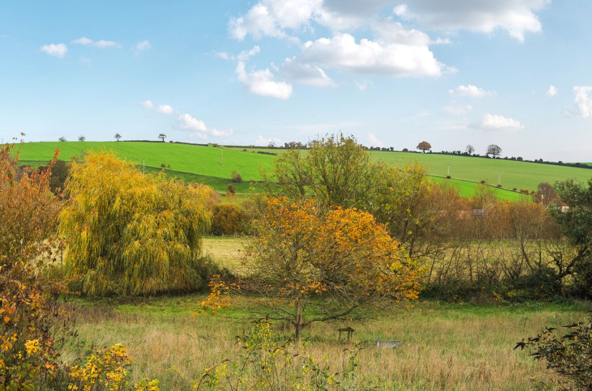4 bed character property for sale in Yew Tree Cottage, Great Wishford  - Property Image 3