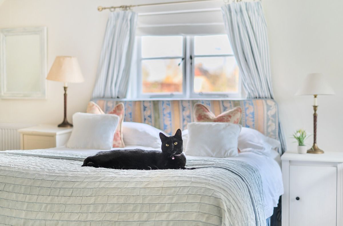 4 bed character property for sale in Yew Tree Cottage, Great Wishford  - Property Image 26