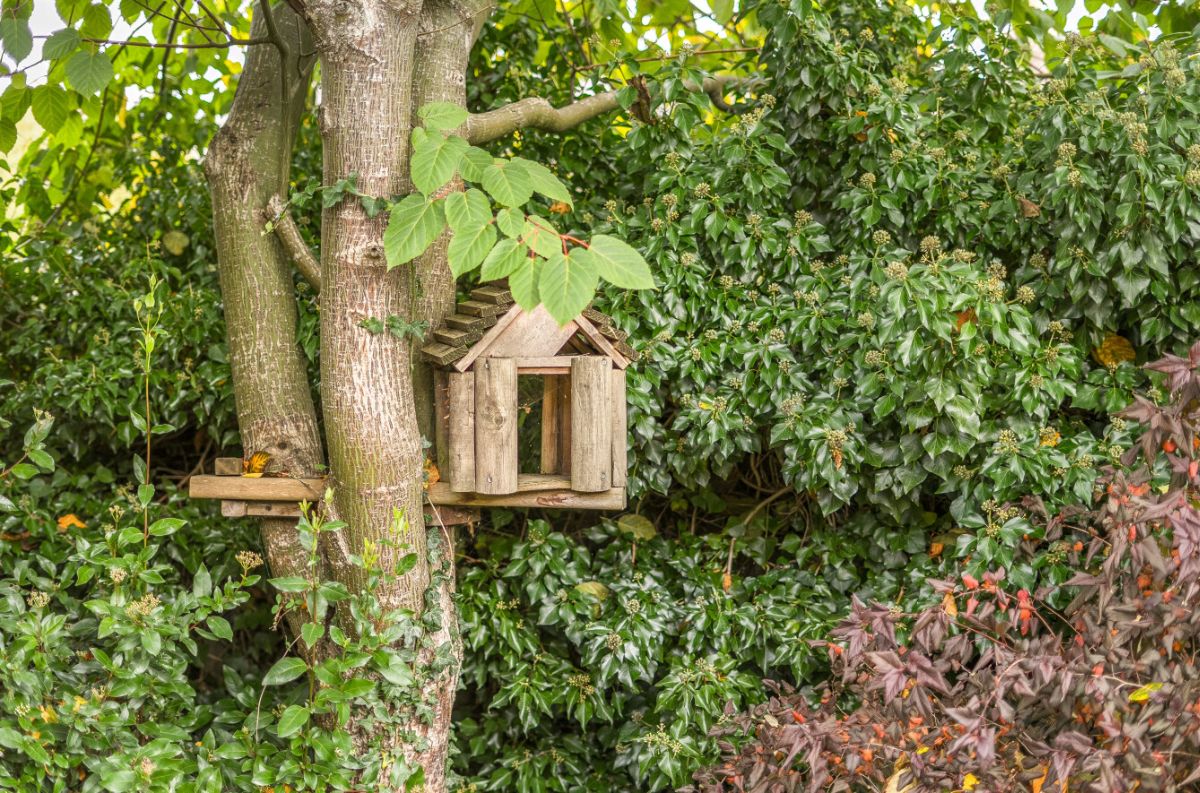 3 bed character property for sale in Great Wishford, Salisbury  - Property Image 41