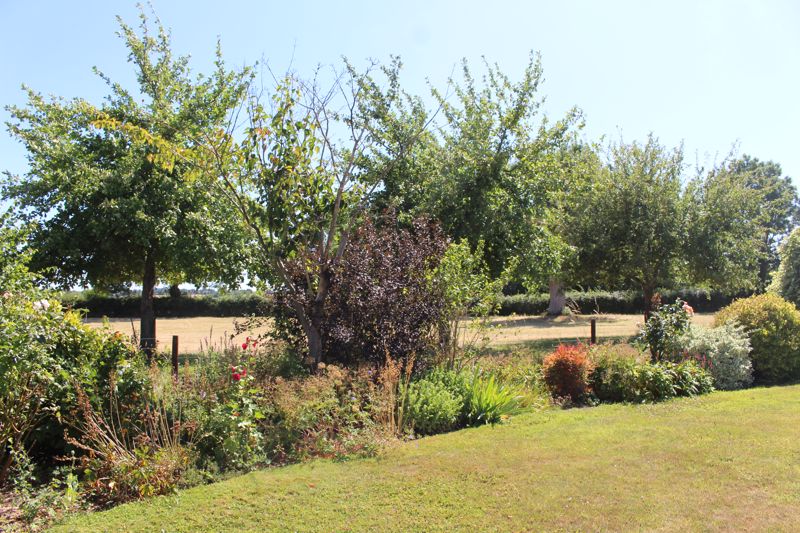 4 bed bungalow for sale in Owl Street, East Lambrook  - Property Image 28