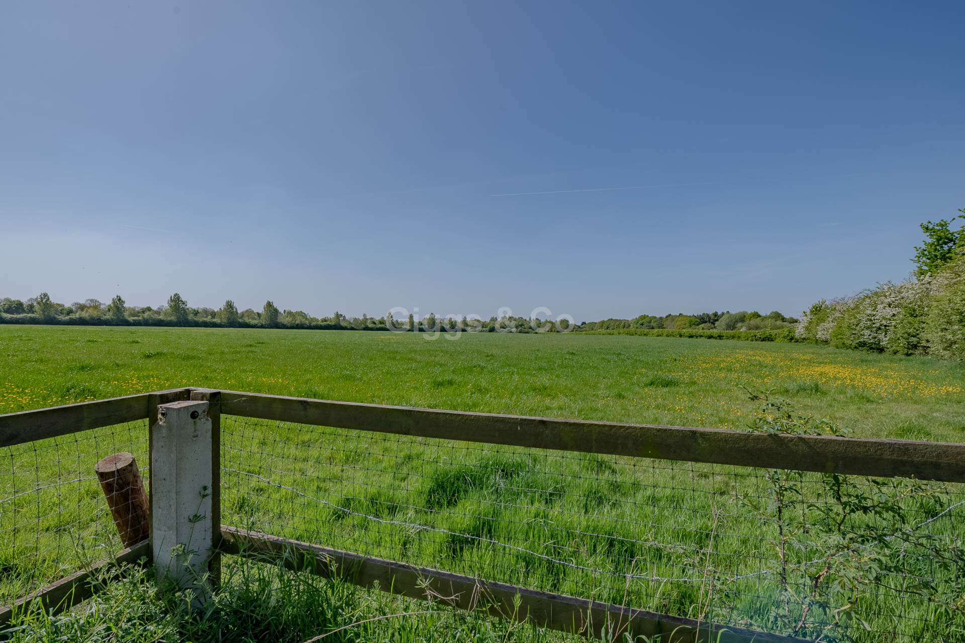 4 bed detached house to rent in Lowndes Drove, St Ives 30