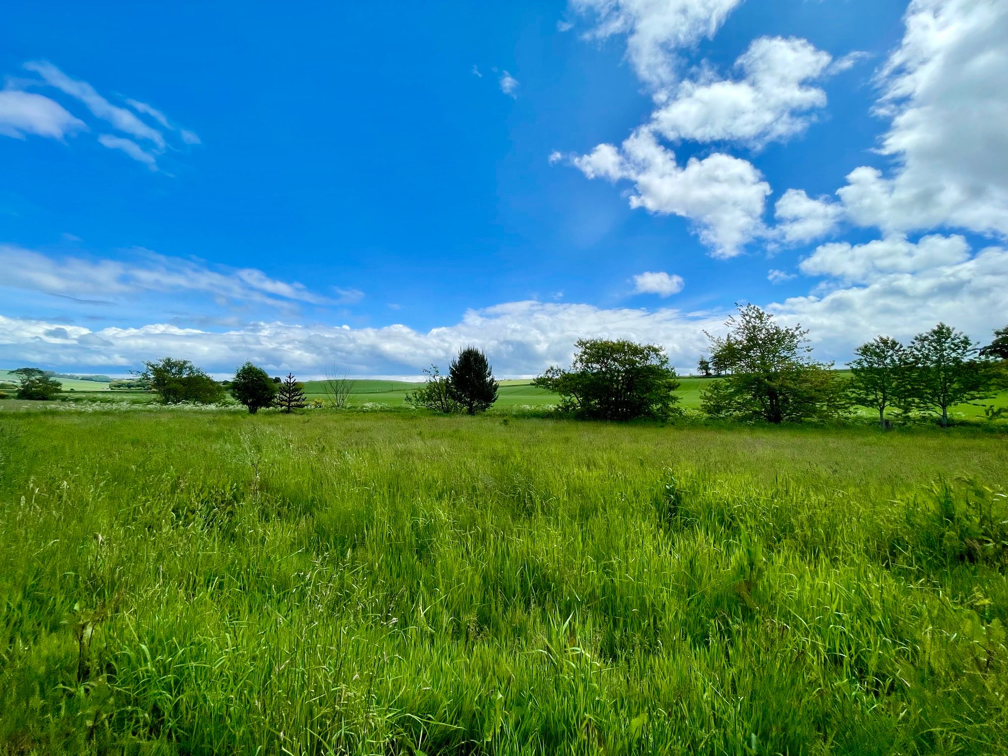 4 bed for sale in Sauchen, Inverurie  - Property Image 36