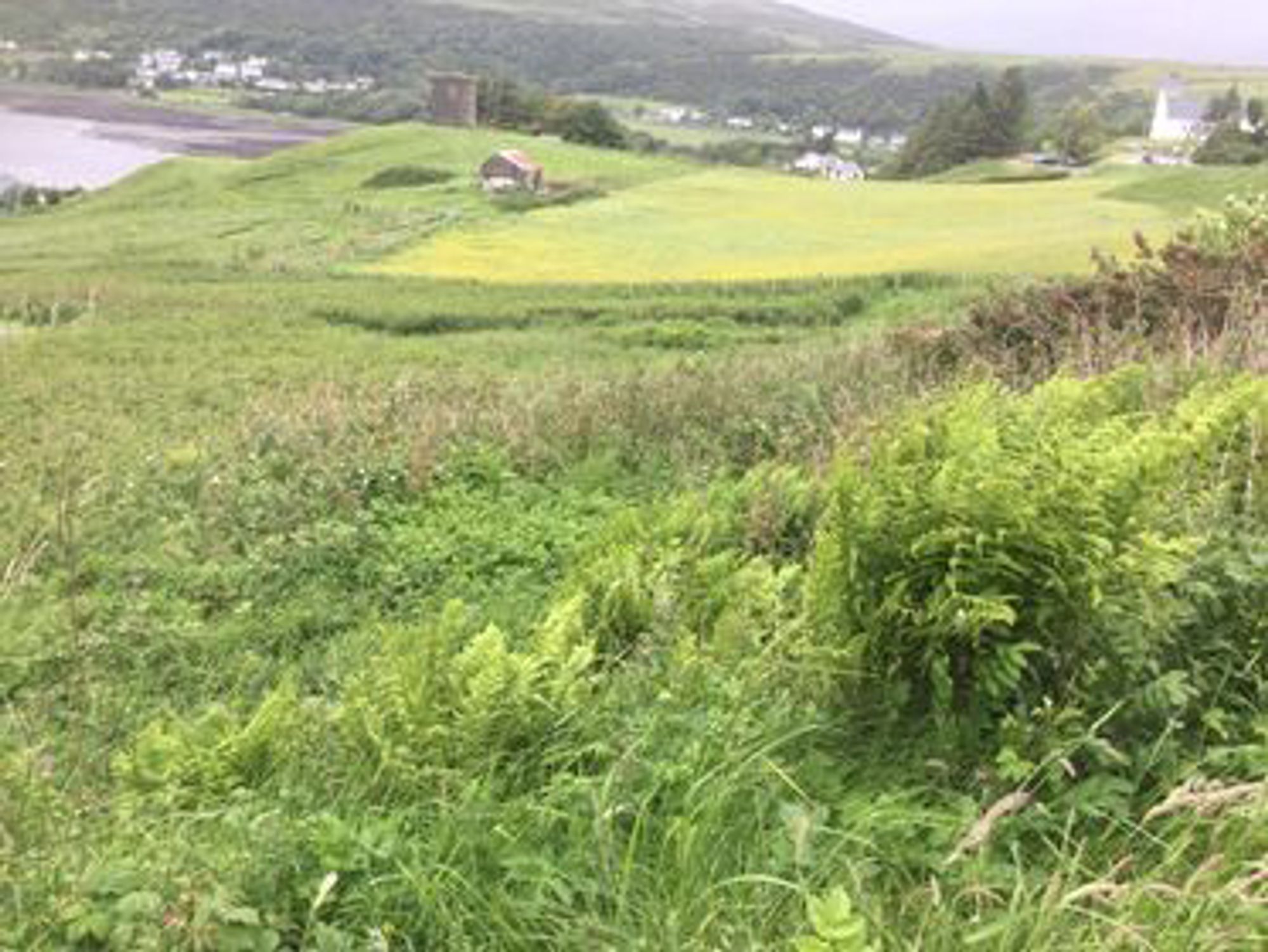 Land for sale in South Cuil, Isle of Skye 2