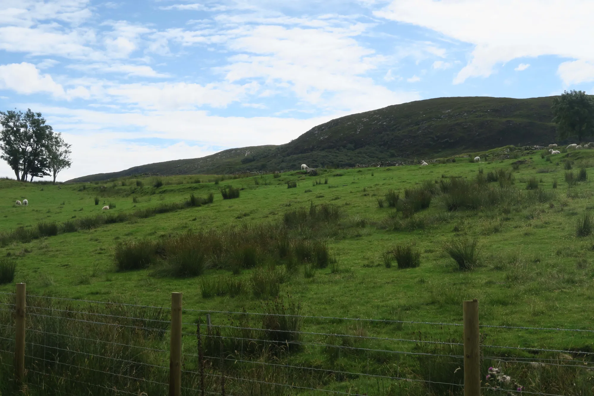 4 bed house for sale in Broadford, Isle Of Skye  - Property Image 39