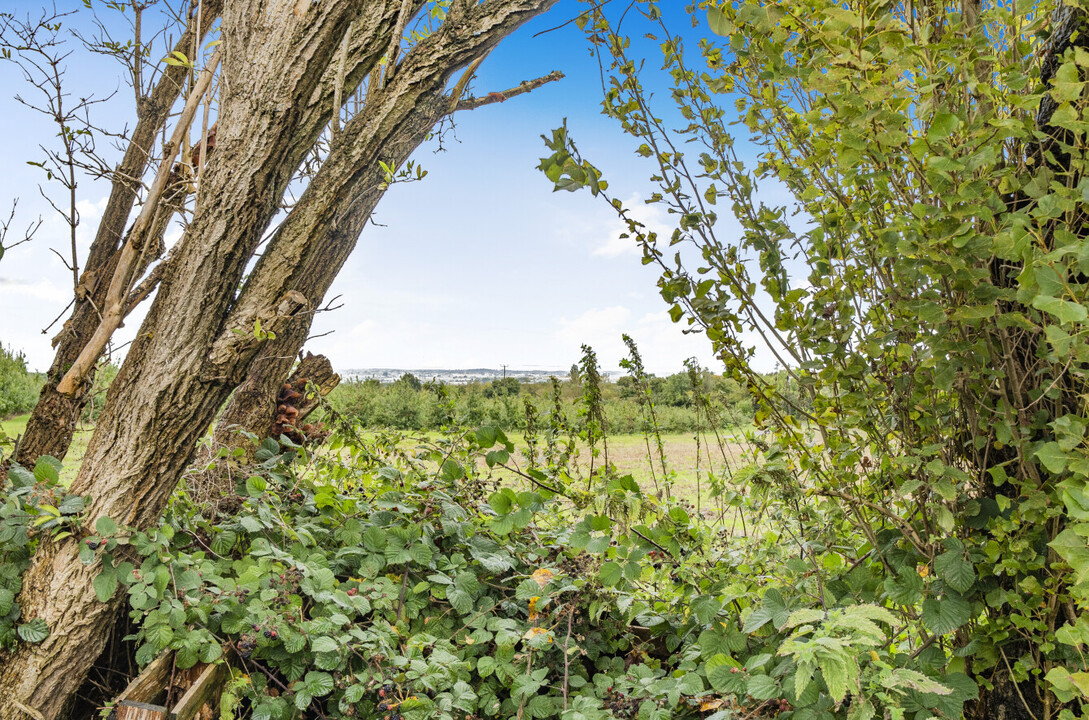 3 bed terraced house for sale in Machine Farm, Pershore  - Property Image 18