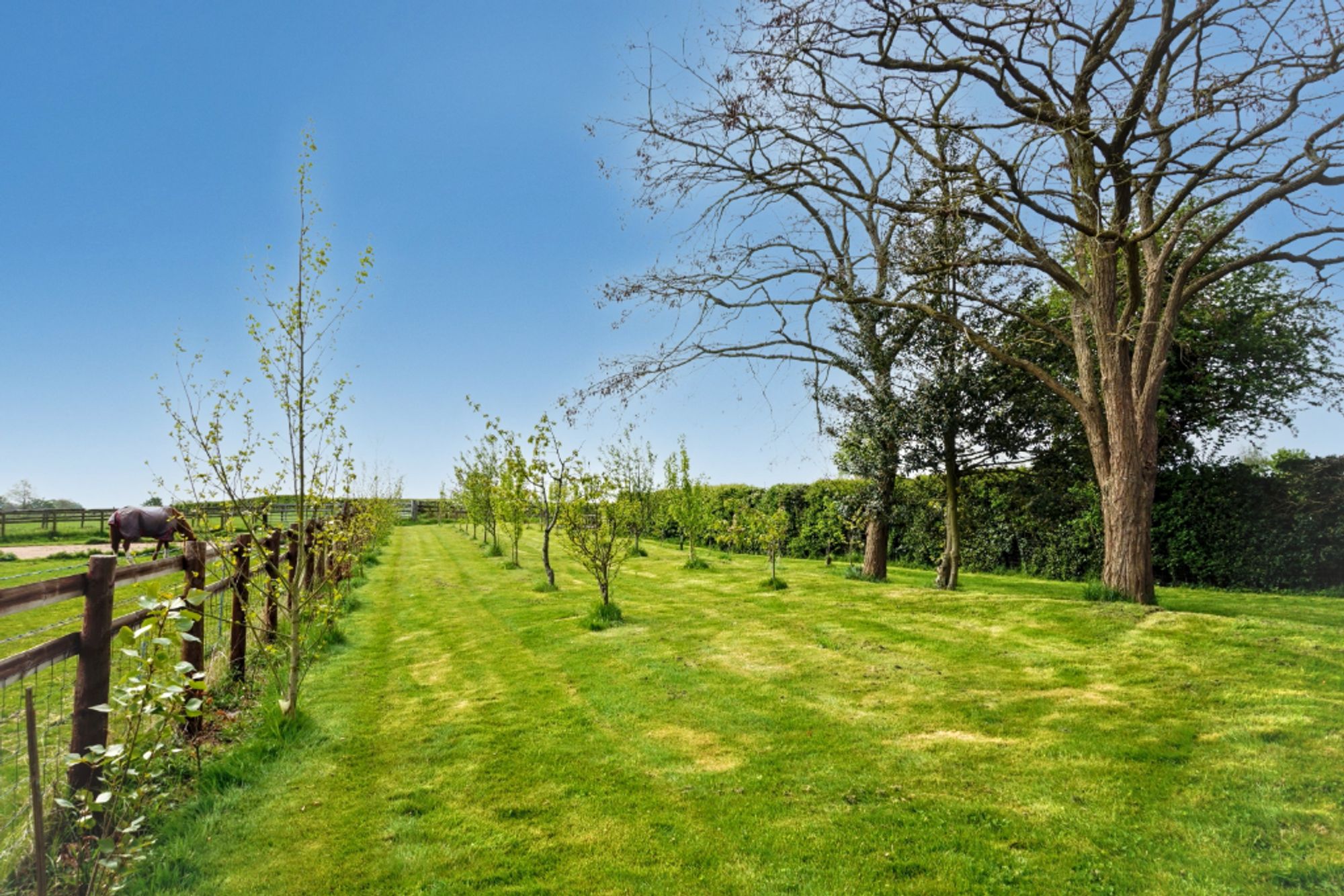 2 bed detached house for sale in Evesham Road, Worcester 17