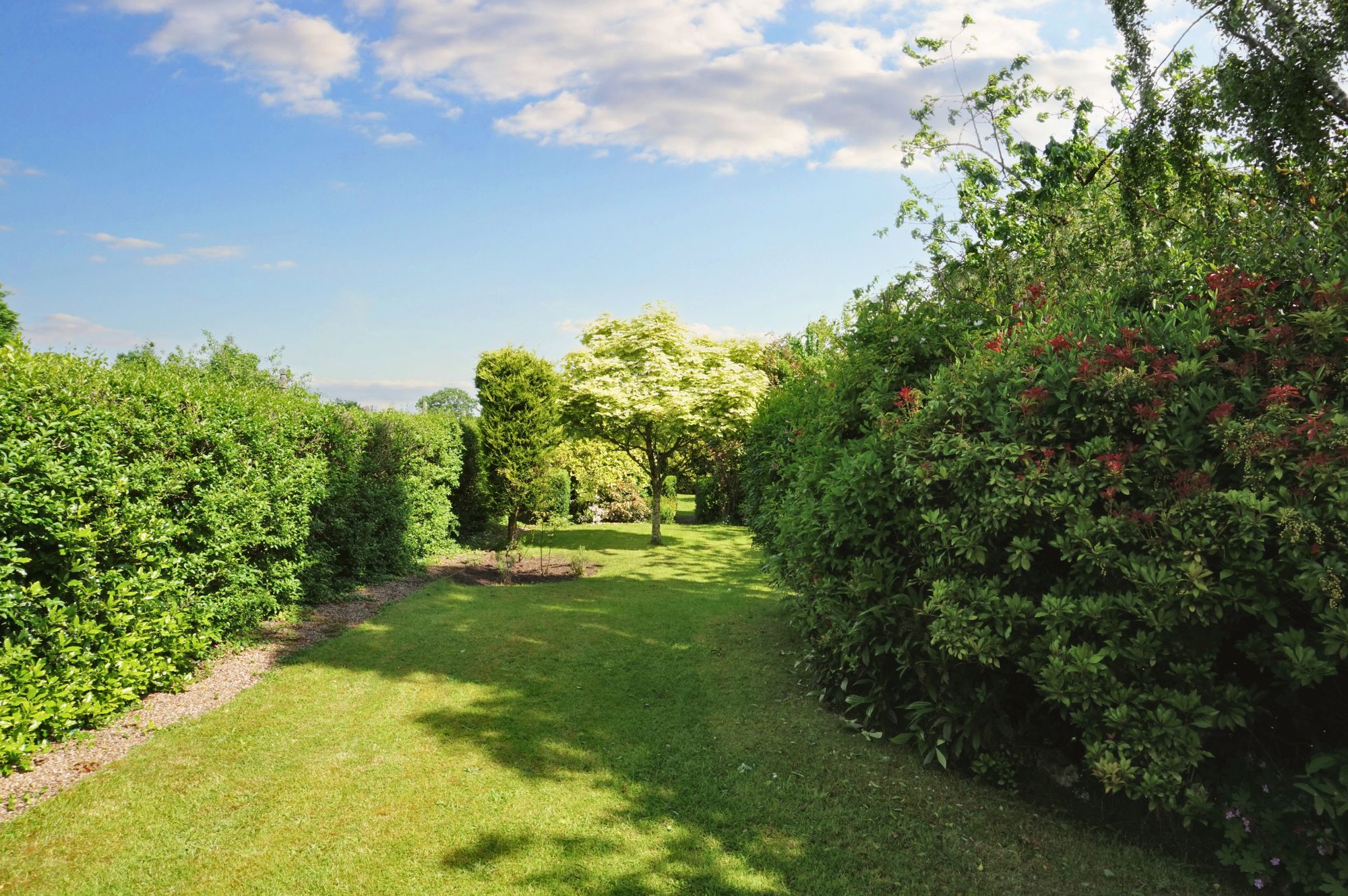 3 bed semi-detached house for sale in Belbroughton Road, Kidderminster  - Property Image 17