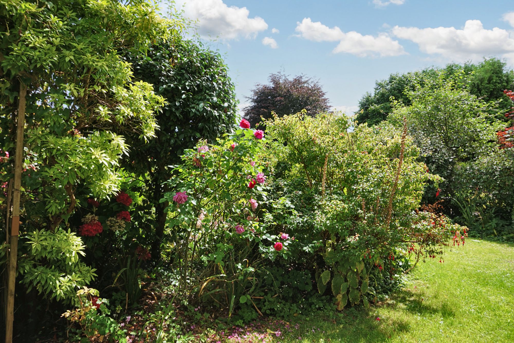 2 bed apartment for sale in Wells Road, Malvern  - Property Image 18