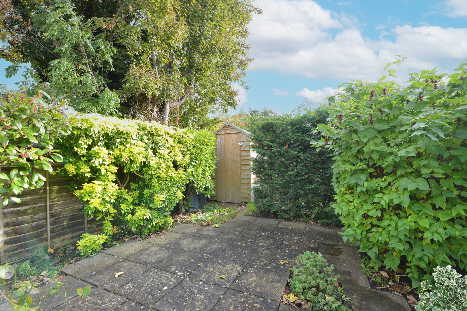 2 bed semi-detached house for sale in Lower Road, Leatherhead  - Property Image 14