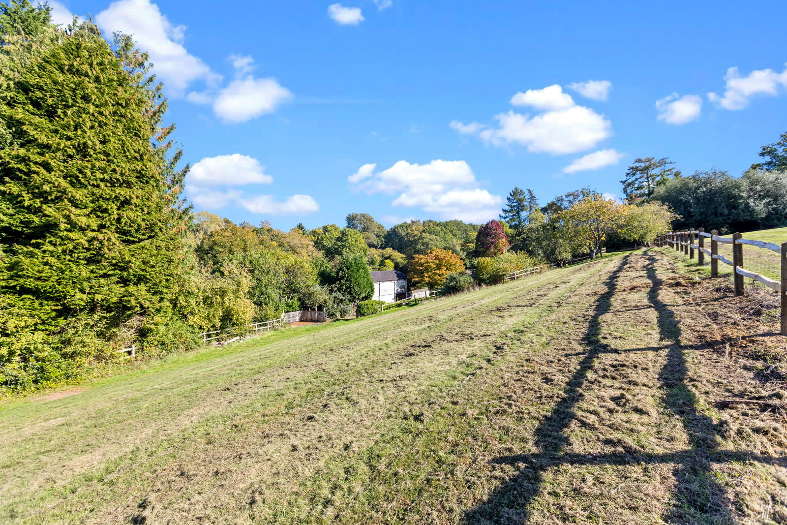 2 bed cottage to rent in Mackies Hill, Guildford 5