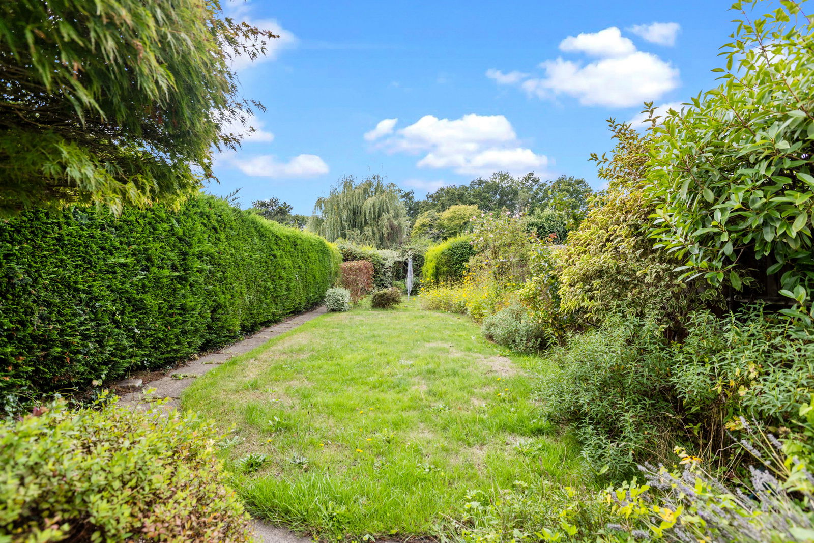 3 bed semi-detached house to rent in Worplesdon Road, Guildford 4