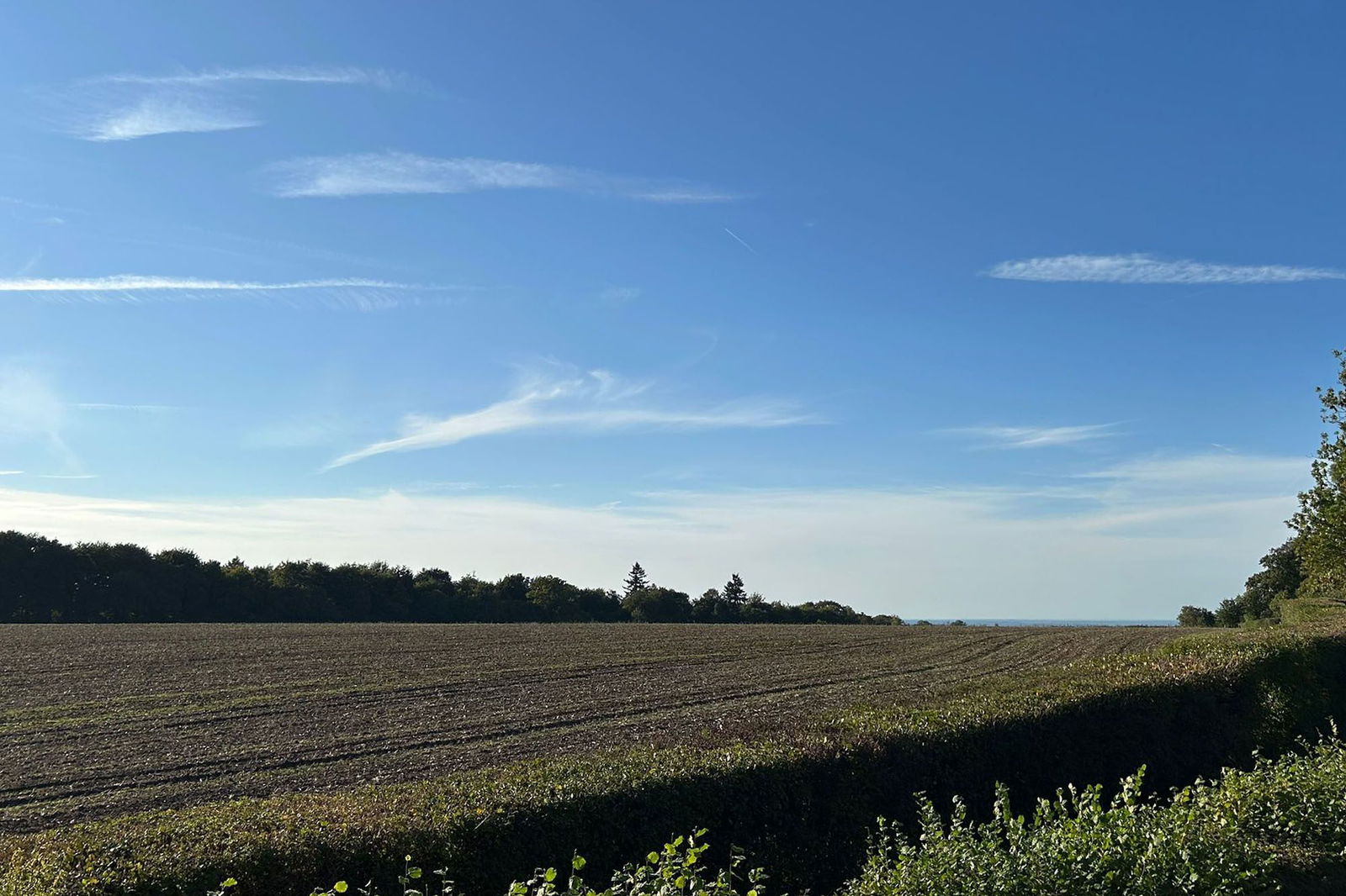 4 bed semi-detached house to rent in Chapel Lane, Leatherhead  - Property Image 38