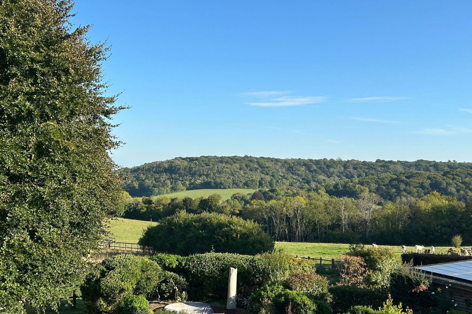 4 bed semi-detached house to rent in Chapel Lane, Leatherhead 38