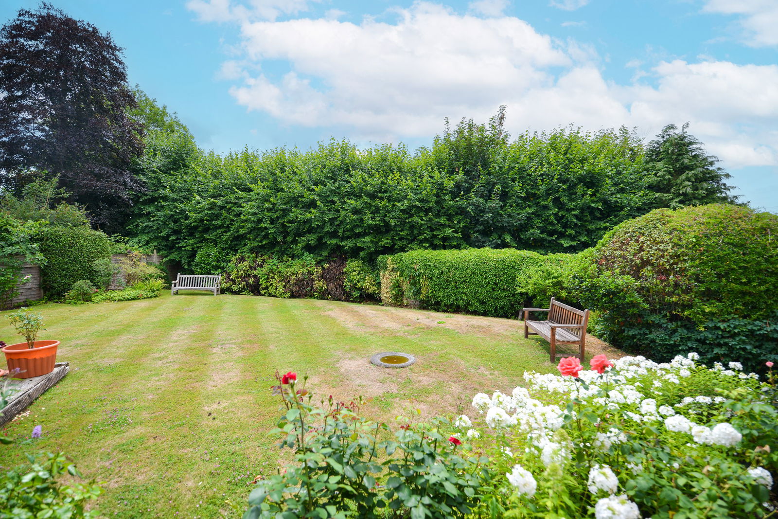 3 bed bungalow for sale in Little Bookham Street, Leatherhead 6