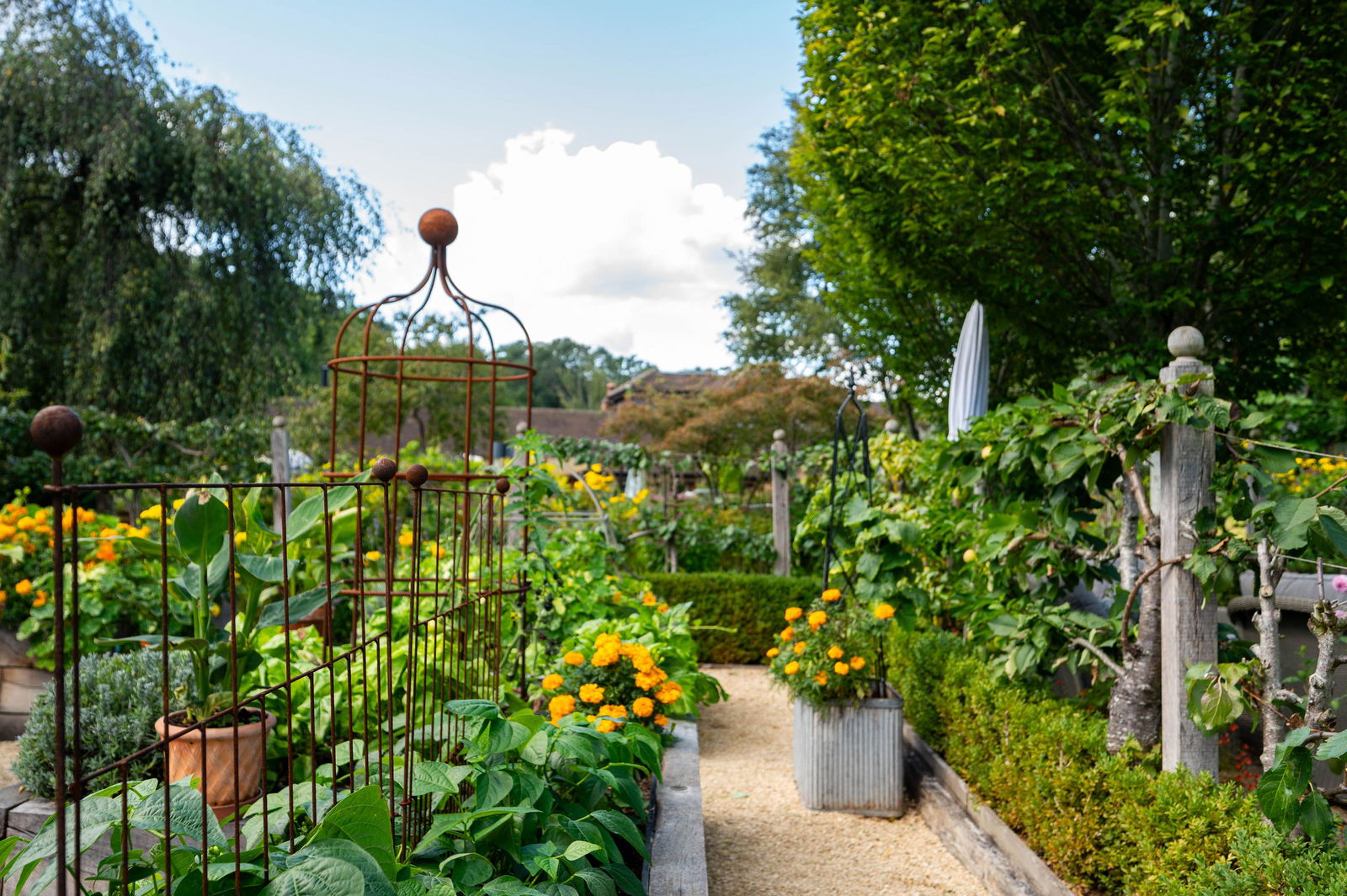 4 bed detached house for sale in Hogs Back, Guildford 37