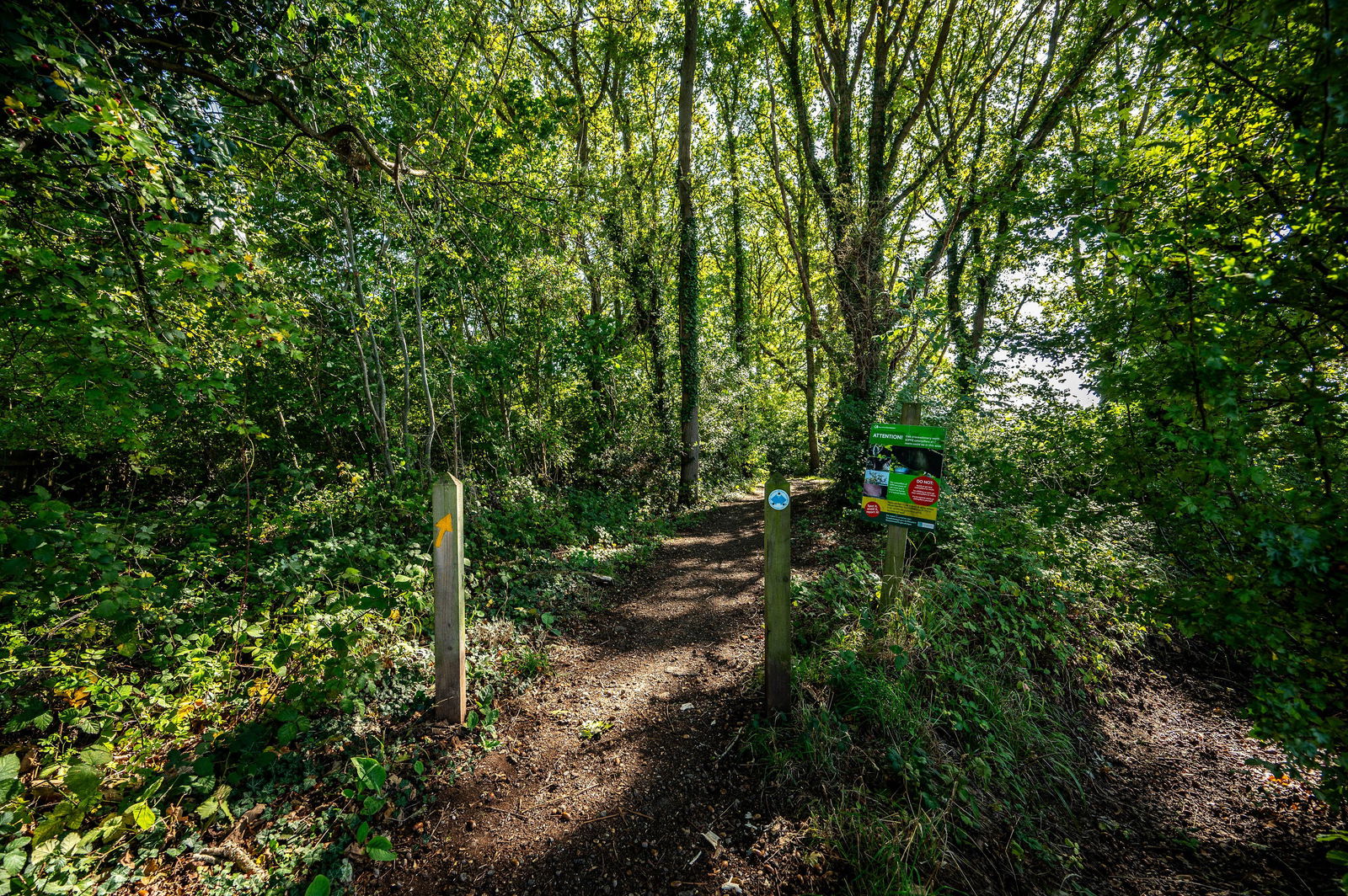 5 bed detached house for sale in Heathway, Leatherhead  - Property Image 29