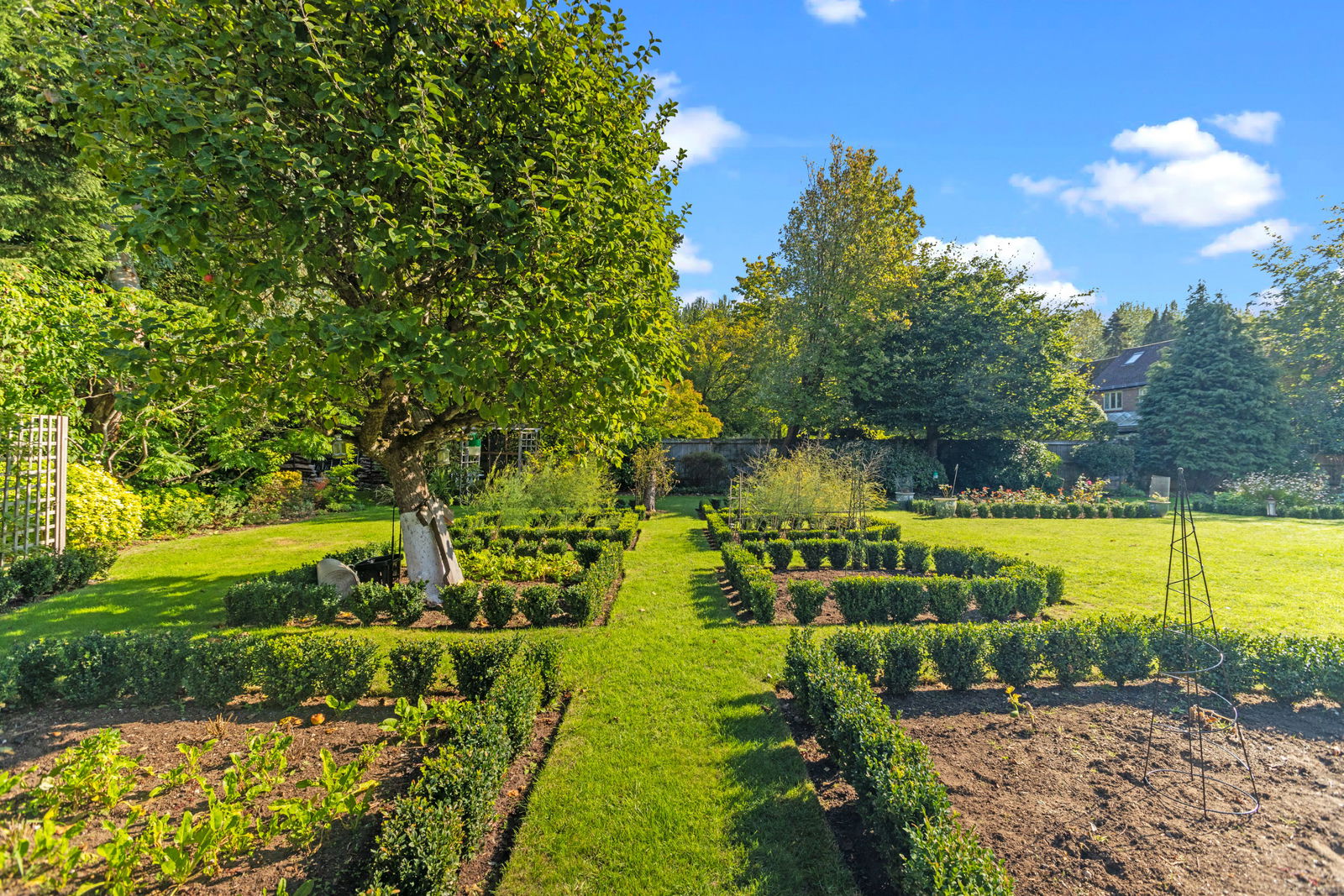 3 bed link detached house for sale in Summersbury Drive, Guildford  - Property Image 4