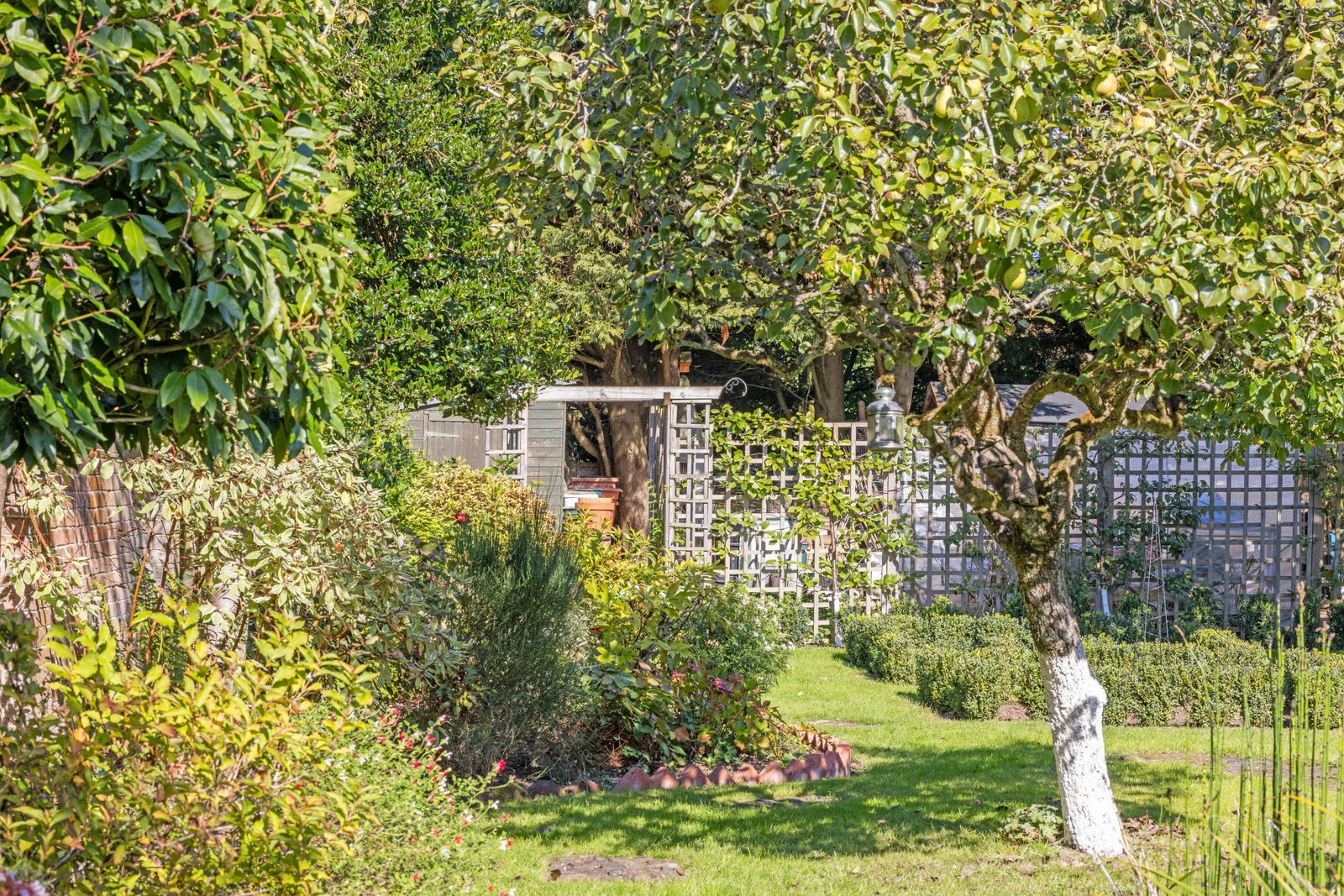 3 bed link detached house for sale in Summersbury Drive, Guildford  - Property Image 7