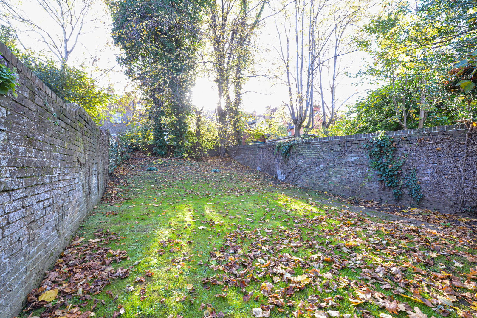 Studio flat to rent in York Road, Guildford  - Property Image 7