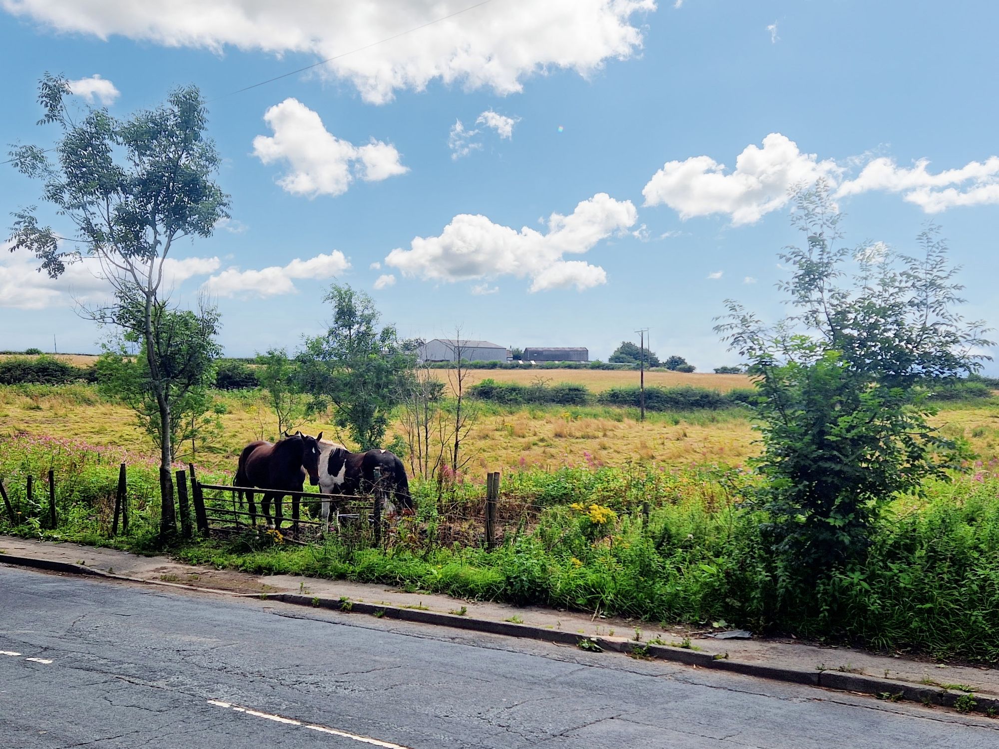 3 bed terraced cottage for sale in Moss Hall Road, Heywood  - Property Image 26