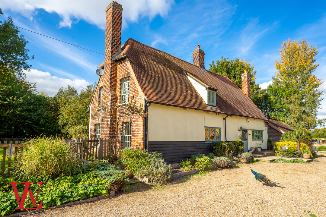 Detached house to rent in Green Tye, Much Hadham  - Property Image 1