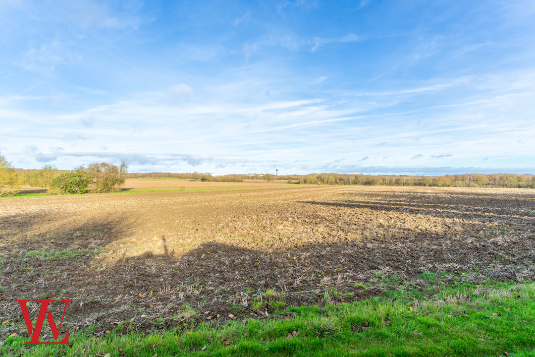 3 bed terraced house for sale in The Street, Bishop's Stortford  - Property Image 20