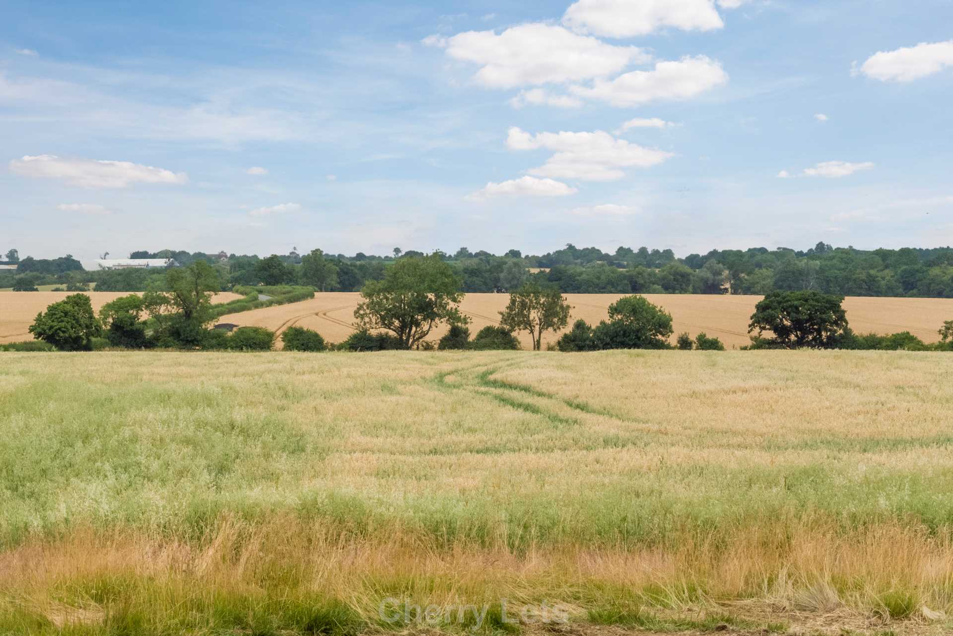 4 bed detached house to rent in Radstone, NN13 20