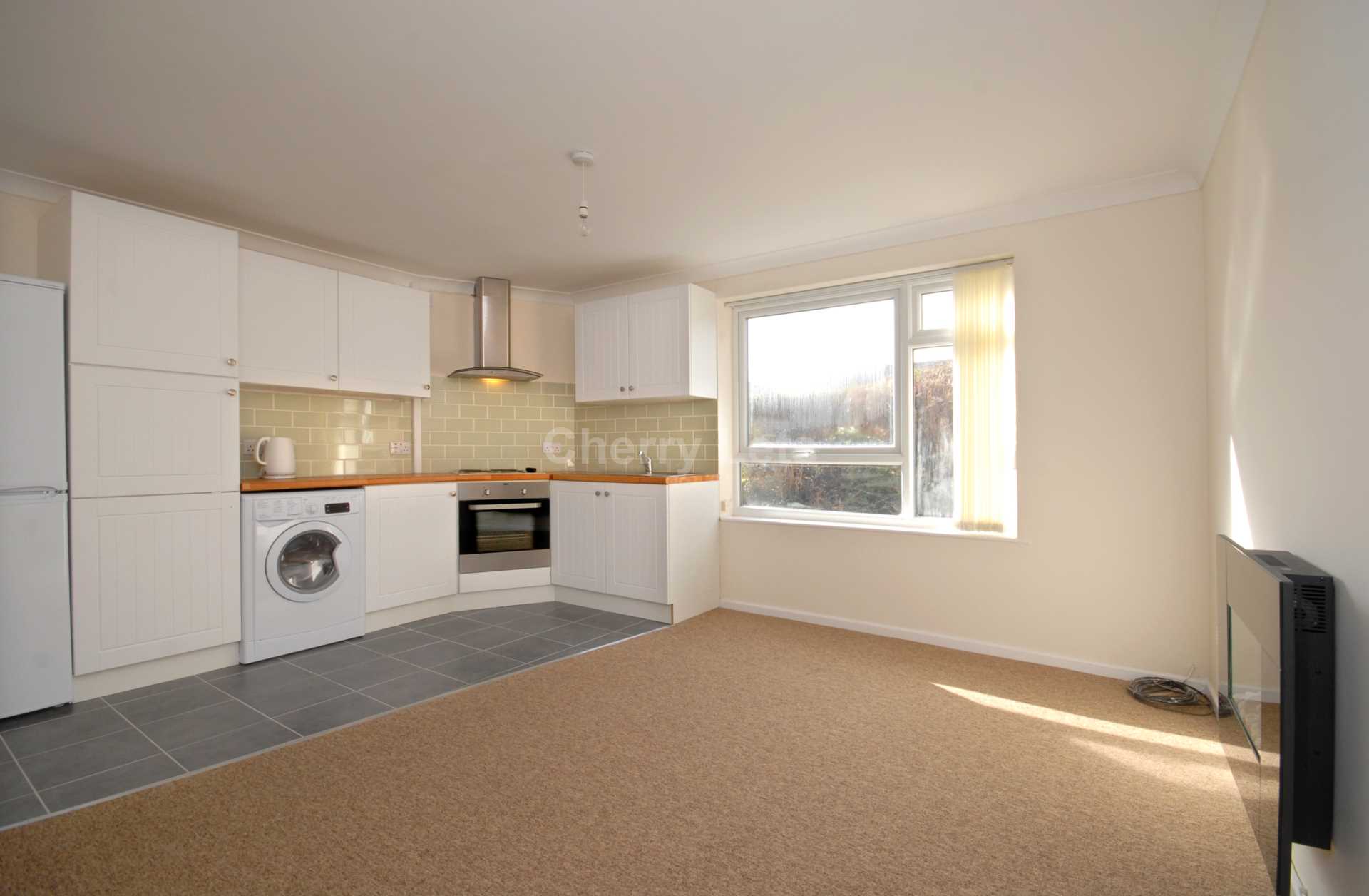 1 bed flat to rent  - Property Image 4