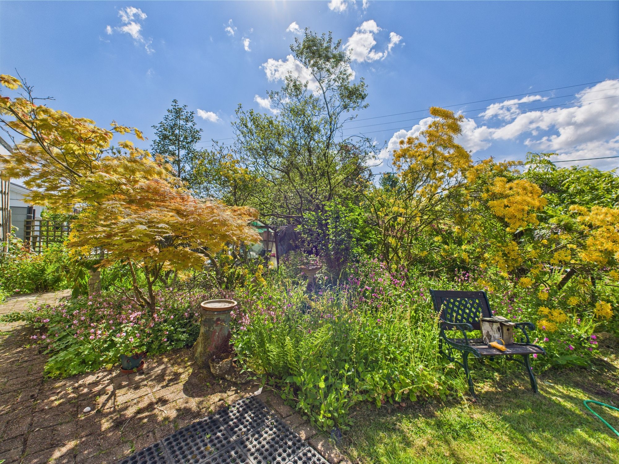 2 bed detached bungalow to rent in Congdons Shop, Launceston  - Property Image 12