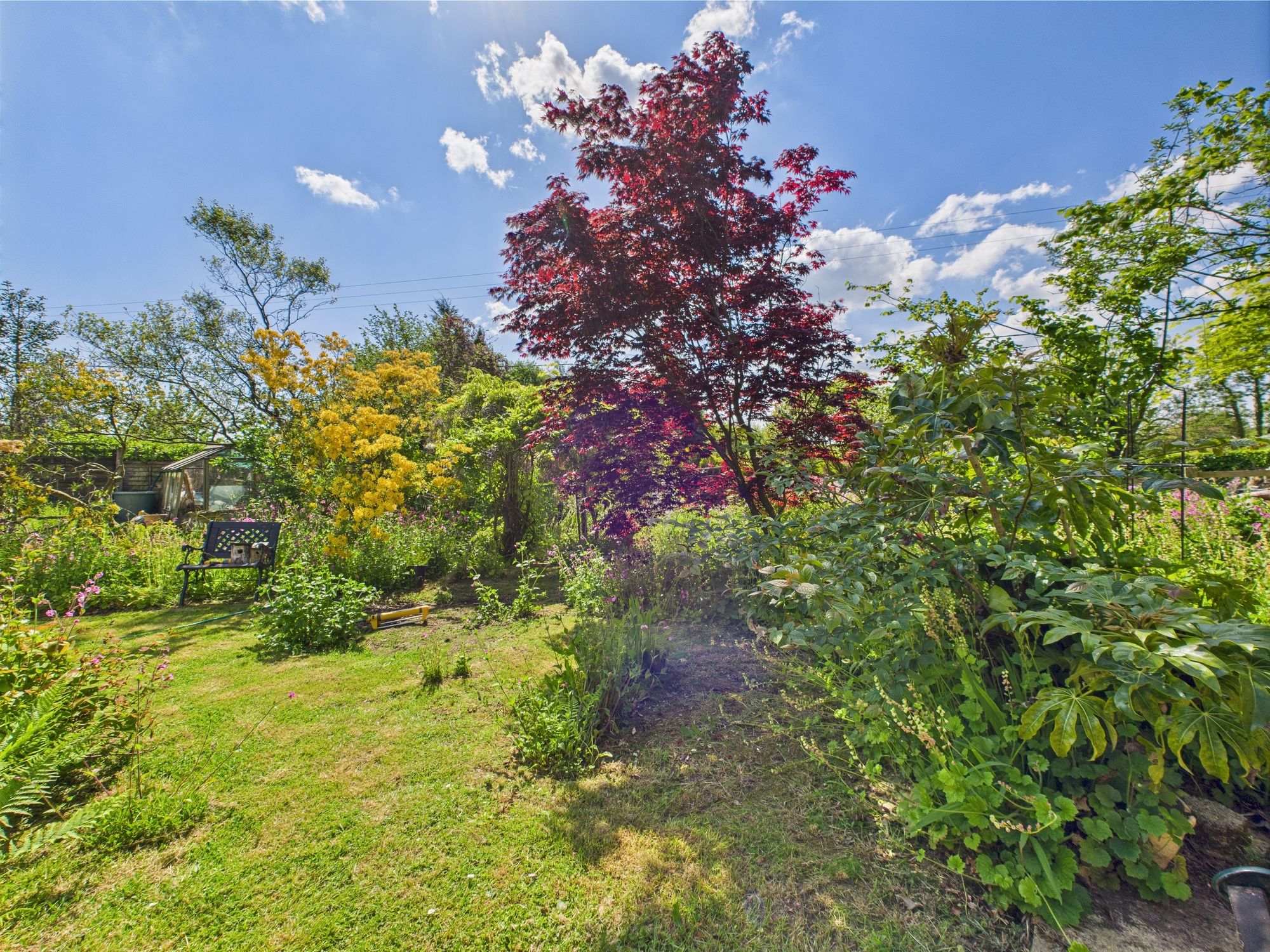 2 bed detached bungalow to rent in Congdons Shop, Launceston  - Property Image 11