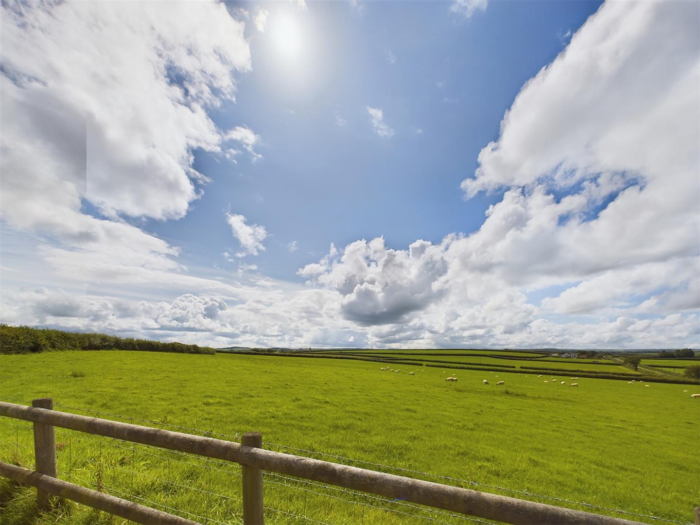 2 bed detached bungalow to rent, Launceston  - Property Image 2