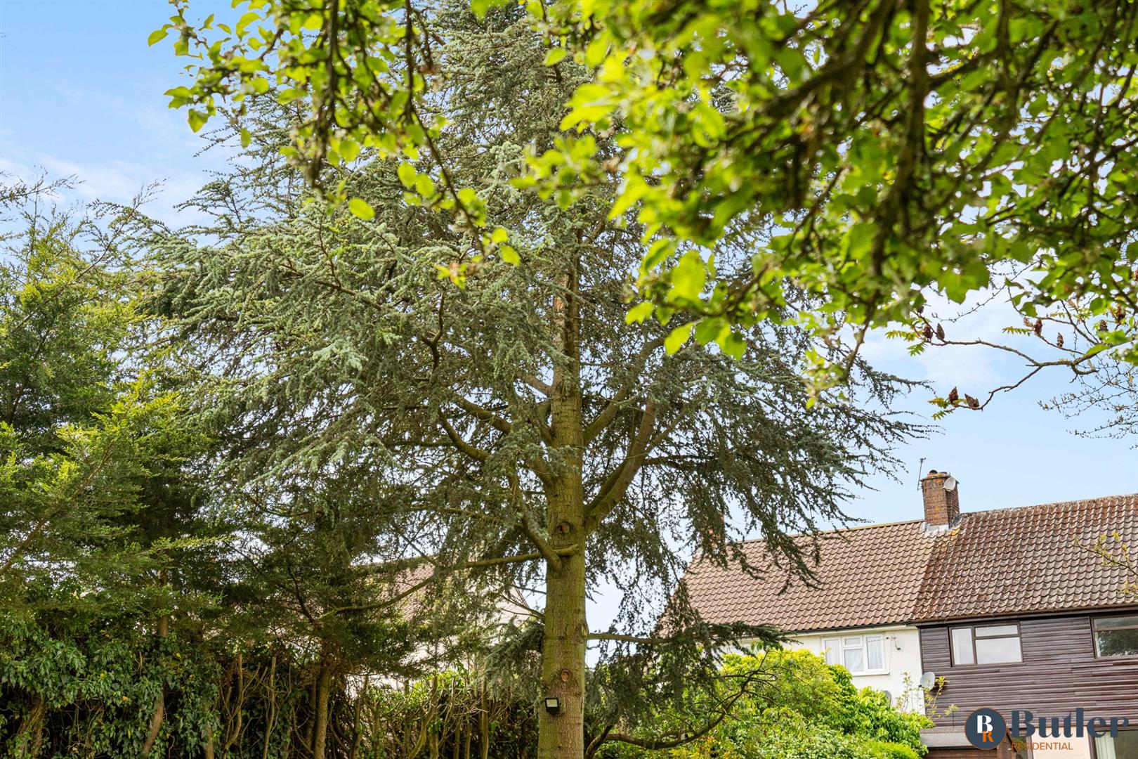 3 bed semi-detached house for sale in Stringers Lane, Aston  - Property Image 59
