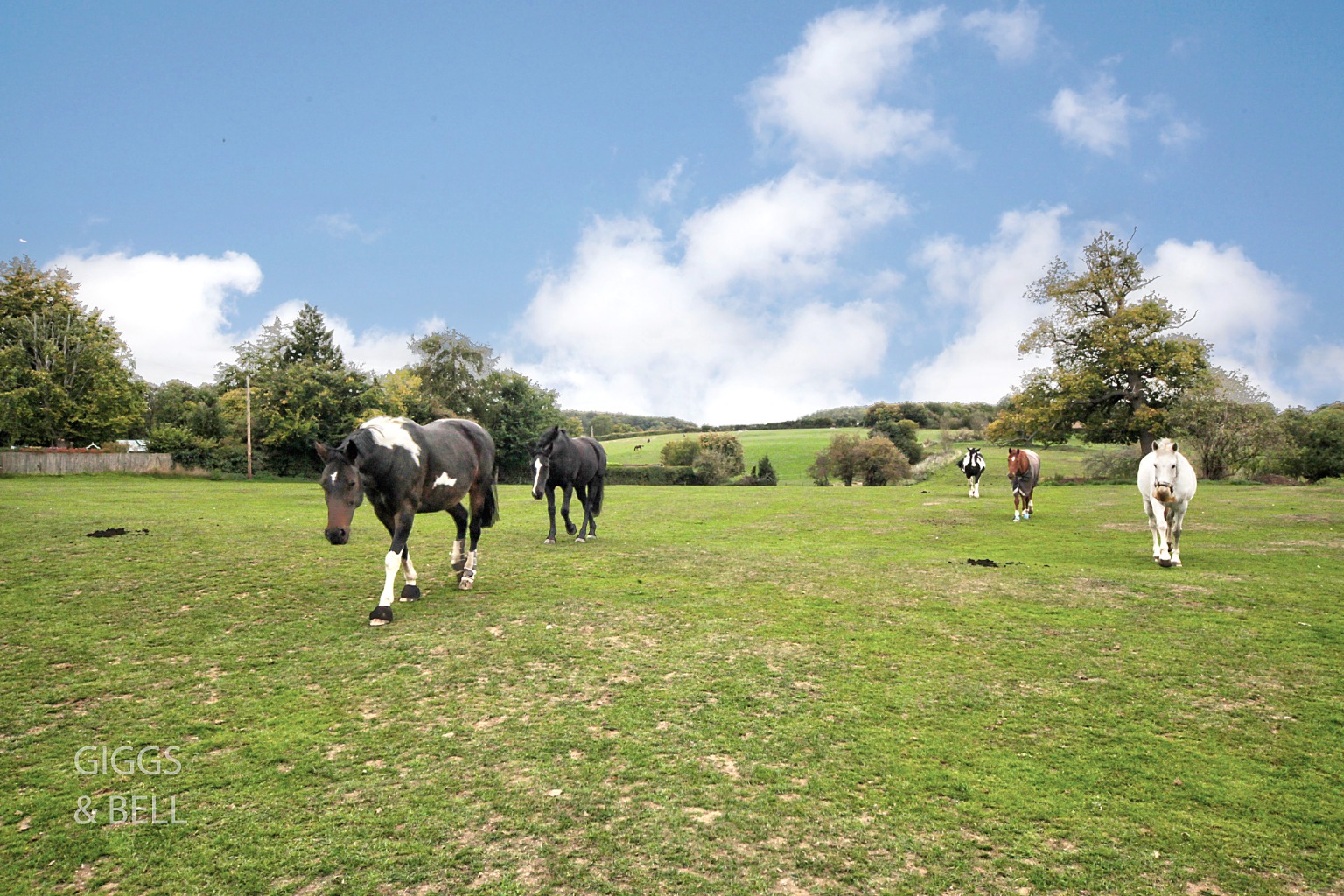 3 bed end of terrace house for sale in East Street, Hertfordshire 34