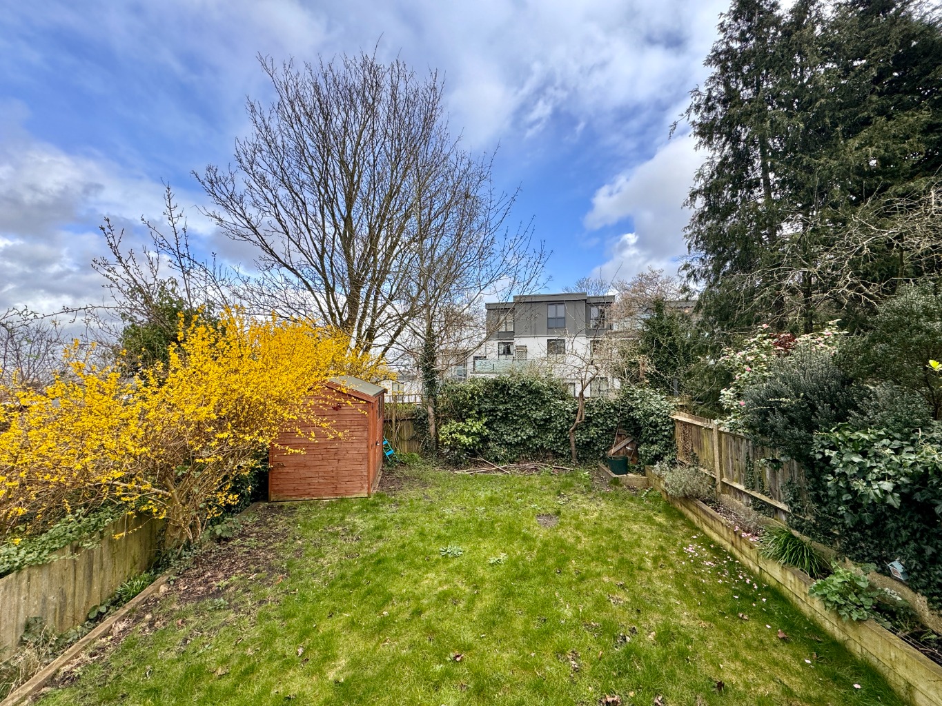 3 bed semi-detached house for sale in Shooters Hill  - Property Image 21